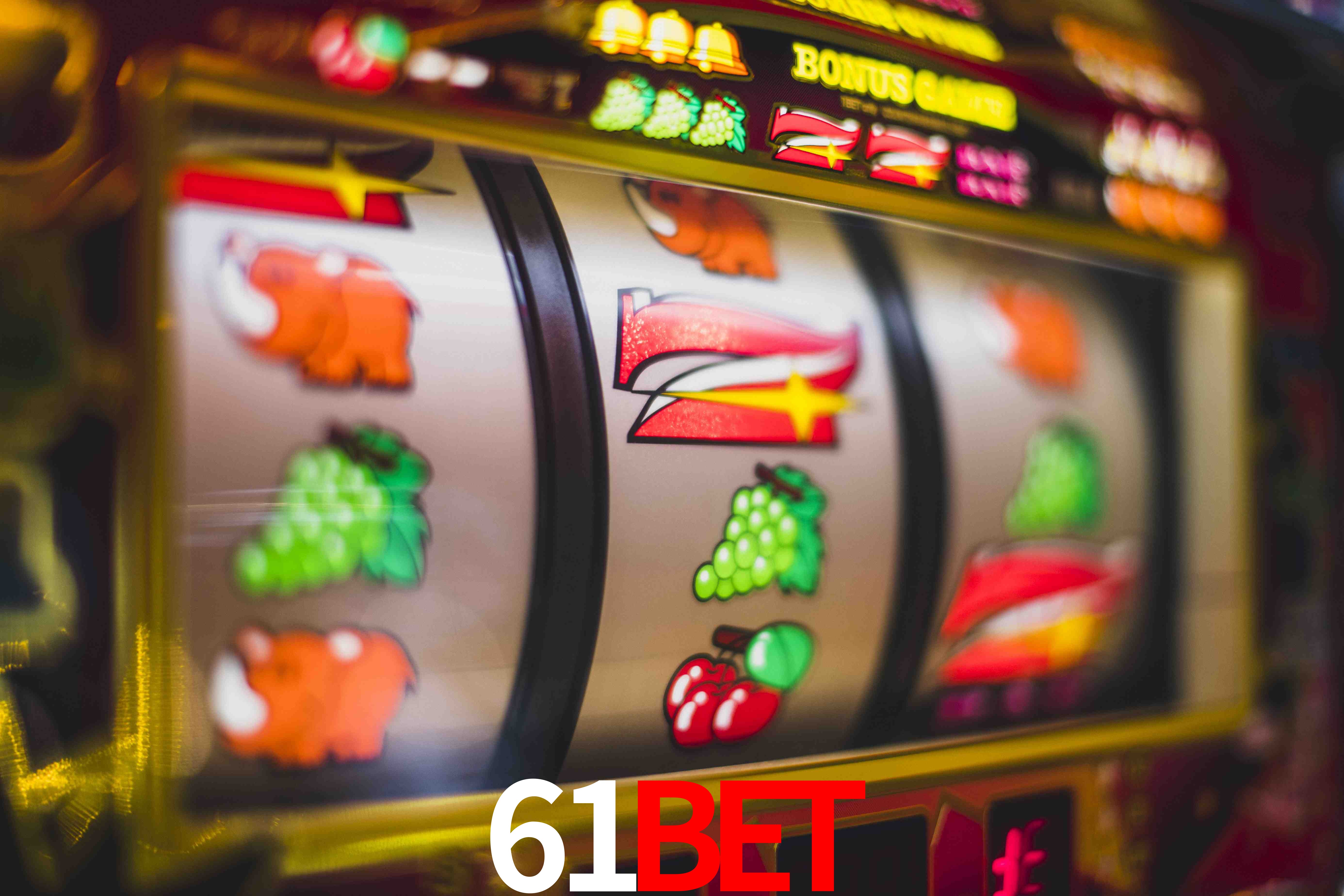 Football Betting 61bet